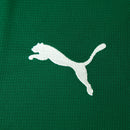 Camisa Puma Palmeiras I 2026/27 Versão Torcedor